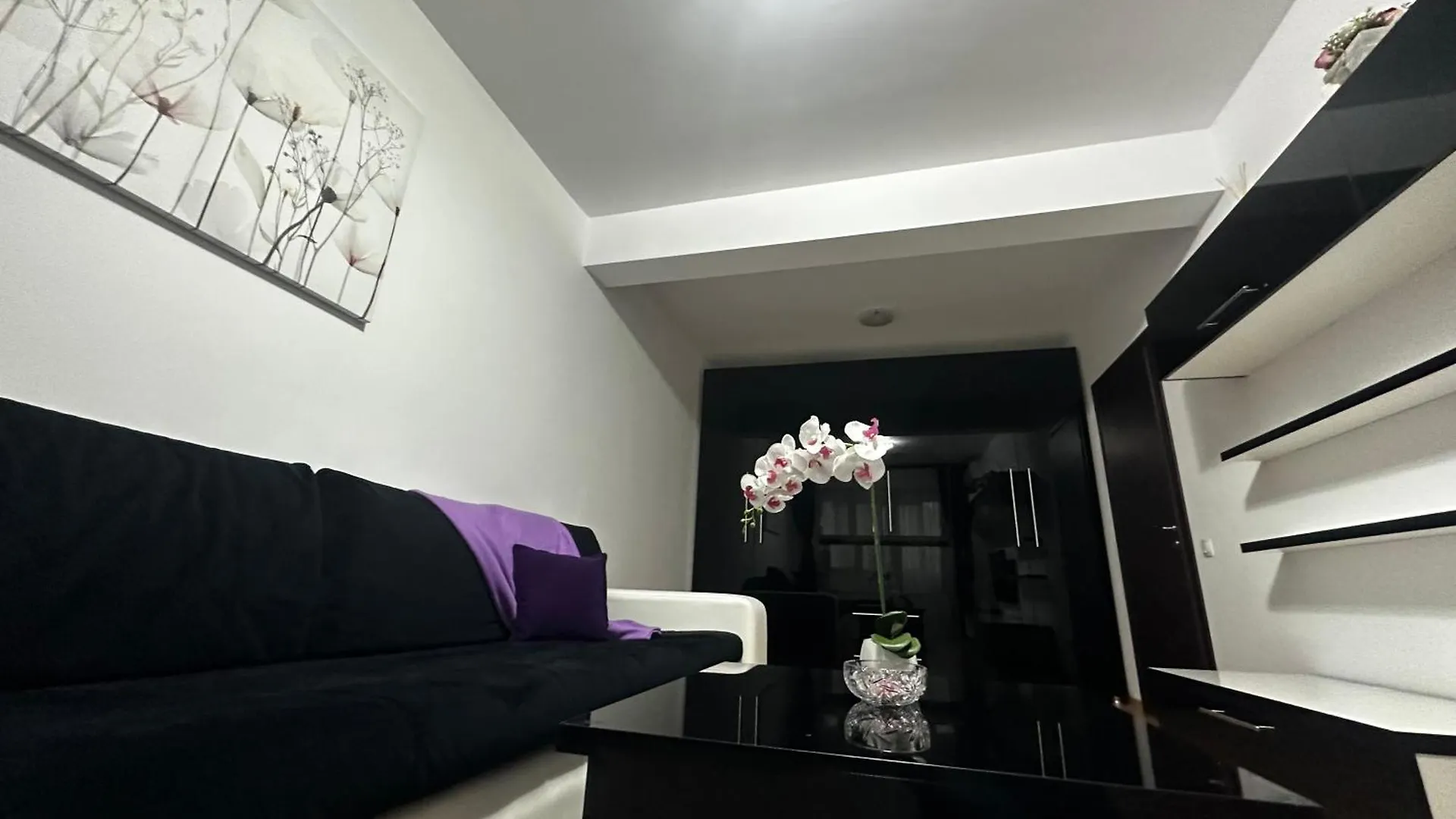 Nicolae Grigorescu Luxury Residence Bucharest Romania