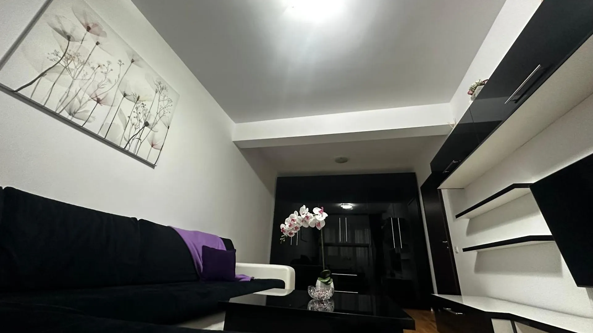 Nicolae Grigorescu Luxury Residence Bucharest Apartment